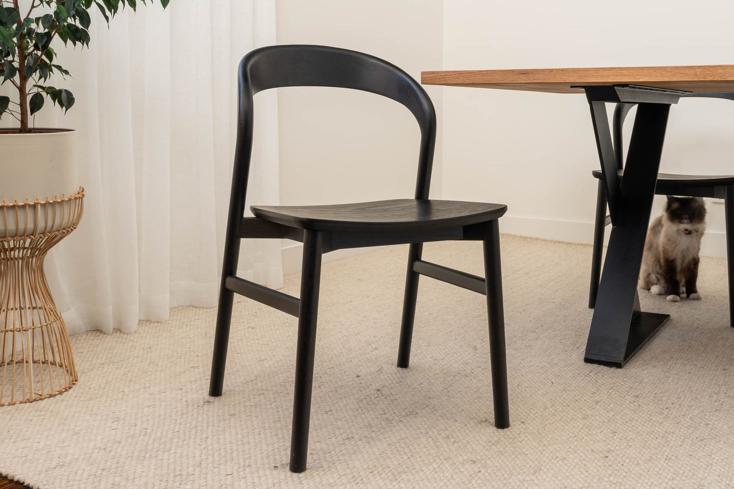 Freya Solid American Oak Timber Seat Dining Chair (Black)