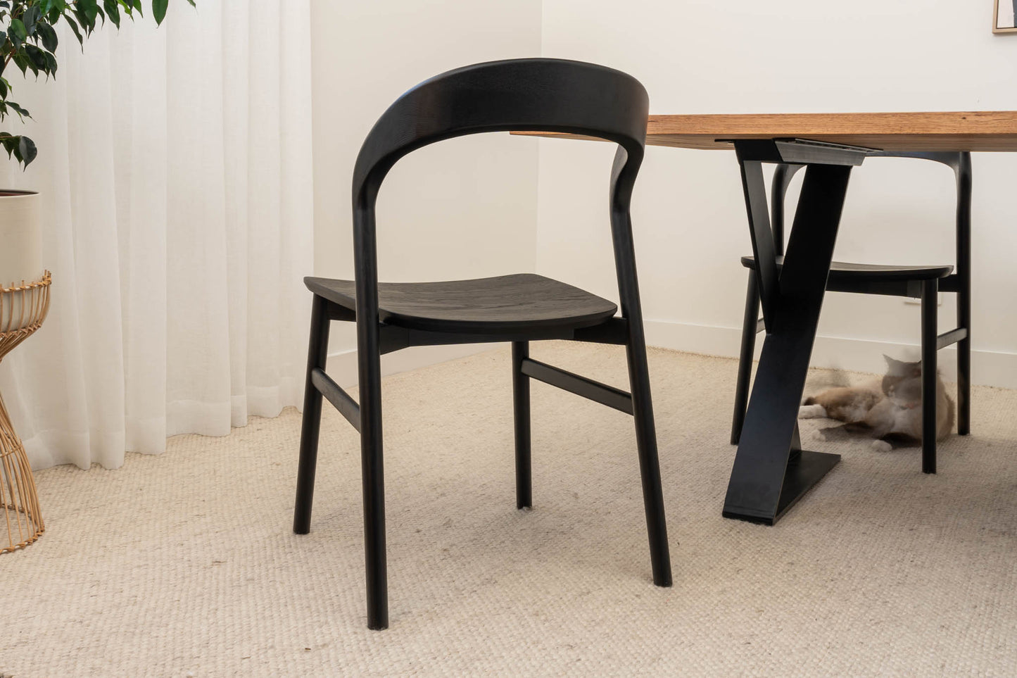Freya Solid American Oak Timber Seat Dining Chair (Black)