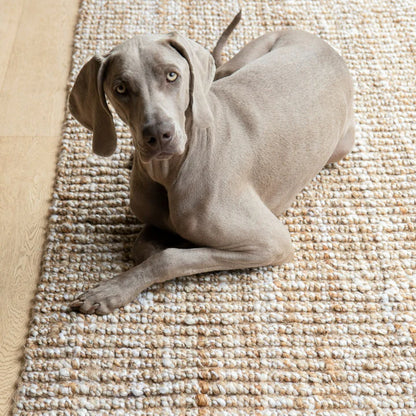 Koda Rug