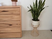 Cape Town 5 Drawer Tallboy - Made in Australia
